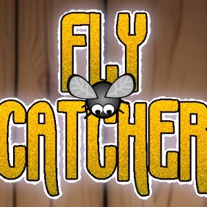 Fly Catcher